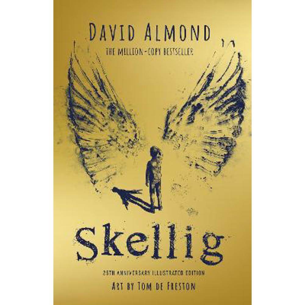 Skellig: the 25th anniversary illustrated edition (Hardback) - David Almond